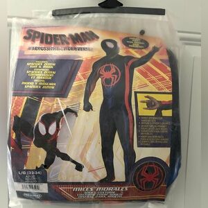 Adult Spider-Man costume size L